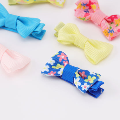 Vibrant Mini Clips Set